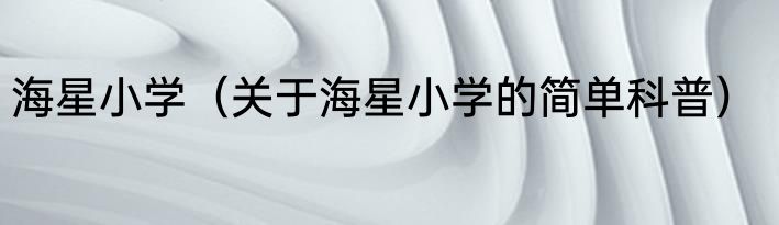 海星小学（关于海星小学的简单科普）