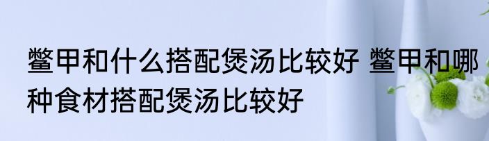 鳖甲和什么搭配煲汤比较好 鳖甲和哪种食材搭配煲汤比较好