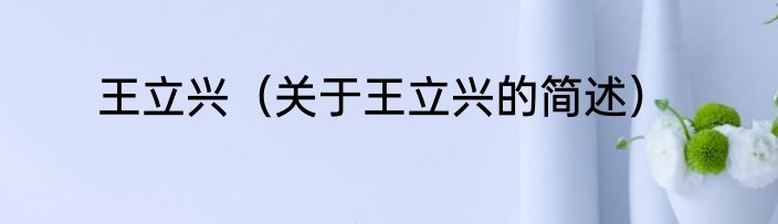 王立兴（关于王立兴的简述）
