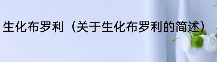 生化布罗利（关于生化布罗利的简述）