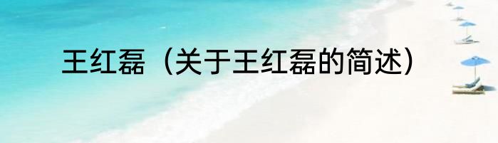 王红磊（关于王红磊的简述）