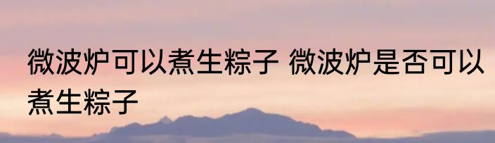 微波炉可以煮生粽子 微波炉是否可以煮生粽子