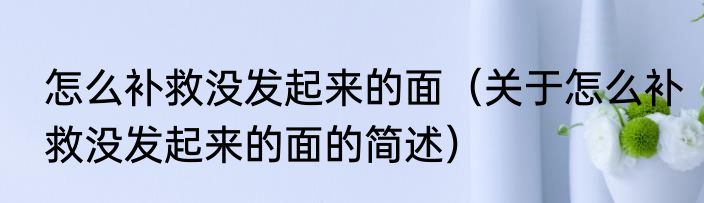 怎么补救没发起来的面（关于怎么补救没发起来的面的简述）