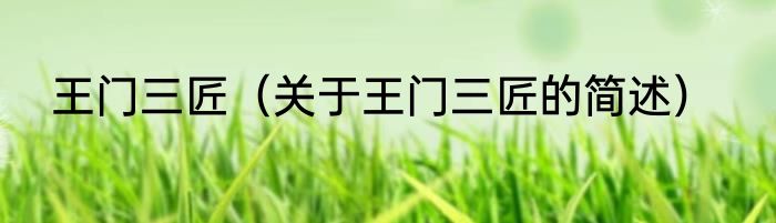 王门三匠（关于王门三匠的简述）
