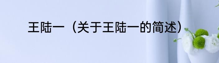 王陆一（关于王陆一的简述）