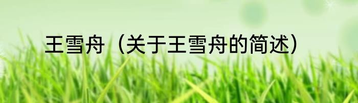 王雪舟（关于王雪舟的简述）