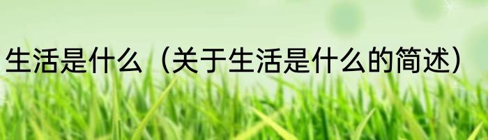 生活是什么（关于生活是什么的简述）