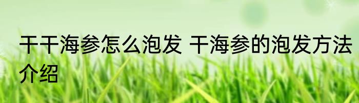 干干海参怎么泡发 干海参的泡发方法介绍