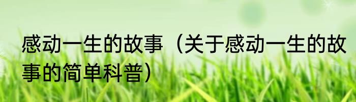 感动一生的故事（关于感动一生的故事的简单科普）