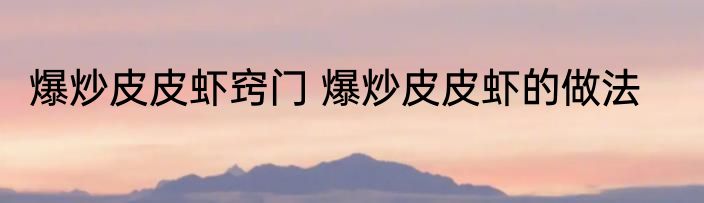 爆炒皮皮虾窍门 爆炒皮皮虾的做法