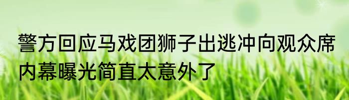 警方回应马戏团狮子出逃冲向观众席 内幕曝光简直太意外了