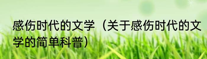 感伤时代的文学（关于感伤时代的文学的简单科普）
