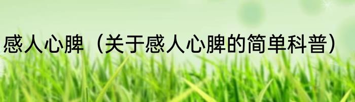 感人心脾（关于感人心脾的简单科普）