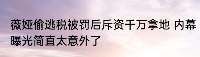 薇娅偷逃税被罚后斥资千万拿地 内幕曝光简直太意外了
