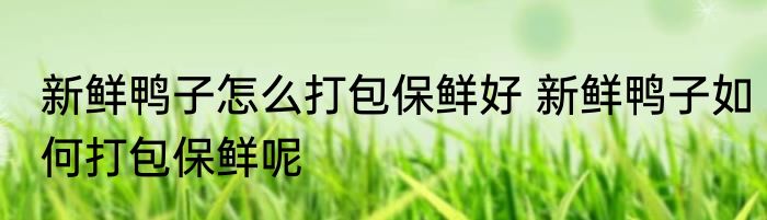 新鲜鸭子怎么打包保鲜好 新鲜鸭子如何打包保鲜呢
