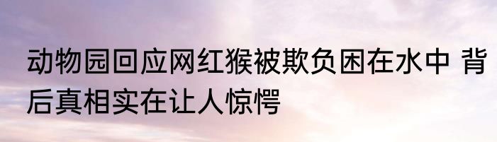 动物园回应网红猴被欺负困在水中 背后真相实在让人惊愕