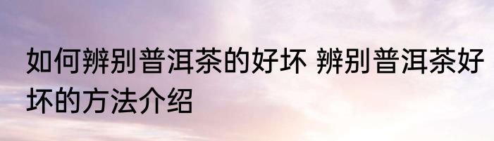 如何辨别普洱茶的好坏 辨别普洱茶好坏的方法介绍