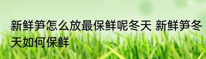 新鲜笋怎么放最保鲜呢冬天 新鲜笋冬天如何保鲜
