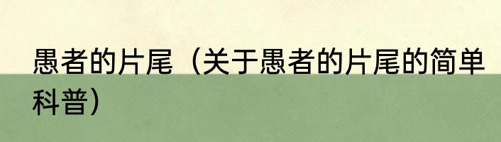 愚者的片尾（关于愚者的片尾的简单科普）