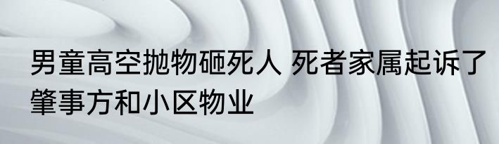 男童高空抛物砸死人 死者家属起诉了肇事方和小区物业