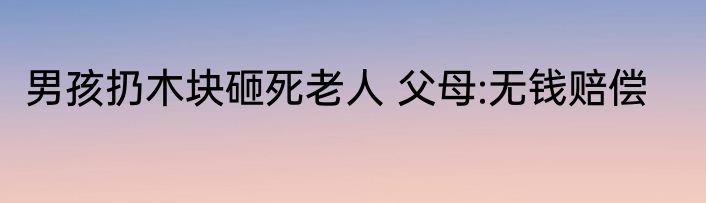 男孩扔木块砸死老人 父母:无钱赔偿