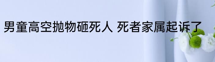 男童高空抛物砸死人 死者家属起诉了