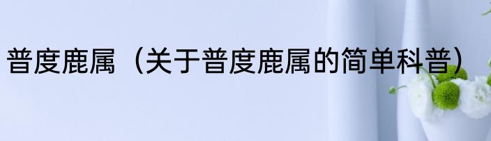 普度鹿属（关于普度鹿属的简单科普）