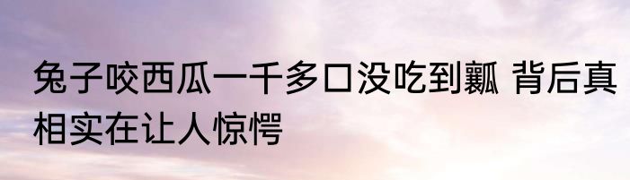 兔子咬西瓜一千多口没吃到瓤 背后真相实在让人惊愕