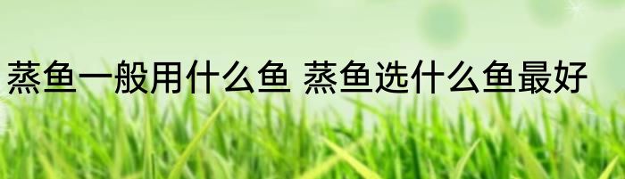 蒸鱼一般用什么鱼 蒸鱼选什么鱼最好