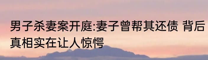 男子杀妻案开庭:妻子曾帮其还债 背后真相实在让人惊愕