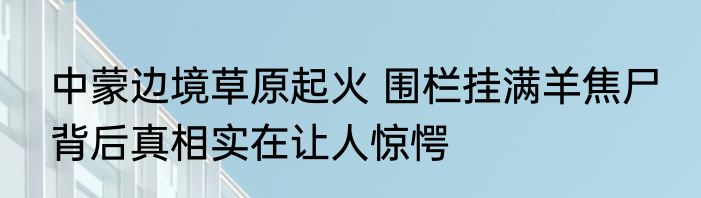 中蒙边境草原起火 围栏挂满羊焦尸 背后真相实在让人惊愕