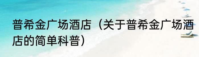 普希金广场酒店（关于普希金广场酒店的简单科普）