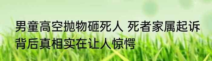 男童高空抛物砸死人 死者家属起诉 背后真相实在让人惊愕