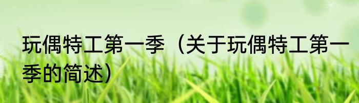 玩偶特工第一季（关于玩偶特工第一季的简述）