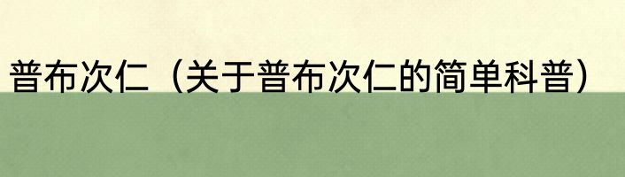 普布次仁（关于普布次仁的简单科普）