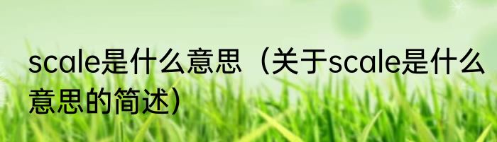 scale是什么意思（关于scale是什么意思的简述）