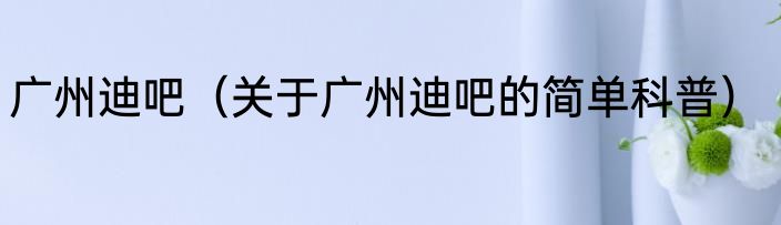 广州迪吧（关于广州迪吧的简单科普）