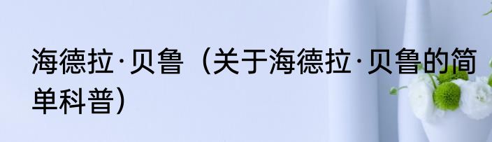 海德拉·贝鲁（关于海德拉·贝鲁的简单科普）