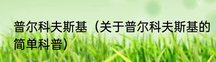 普尔科夫斯基（关于普尔科夫斯基的简单科普）