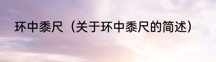环中黍尺（关于环中黍尺的简述）
