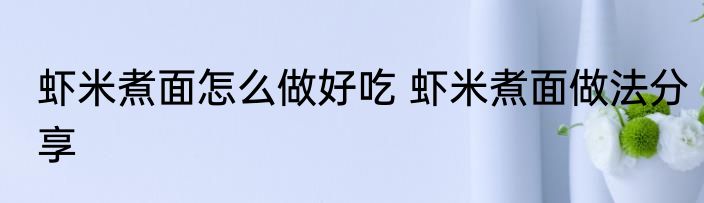 虾米煮面怎么做好吃 虾米煮面做法分享