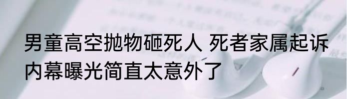 男童高空抛物砸死人 死者家属起诉 内幕曝光简直太意外了