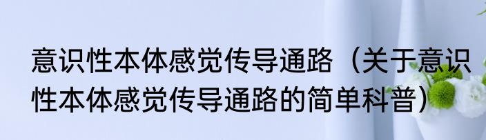 意识性本体感觉传导通路（关于意识性本体感觉传导通路的简单科普）