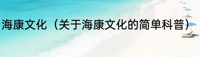 海康文化（关于海康文化的简单科普）