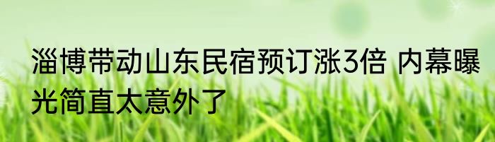 淄博带动山东民宿预订涨3倍 内幕曝光简直太意外了