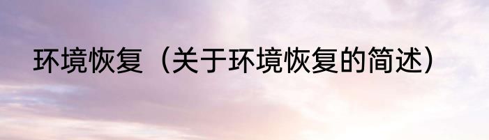 环境恢复（关于环境恢复的简述）