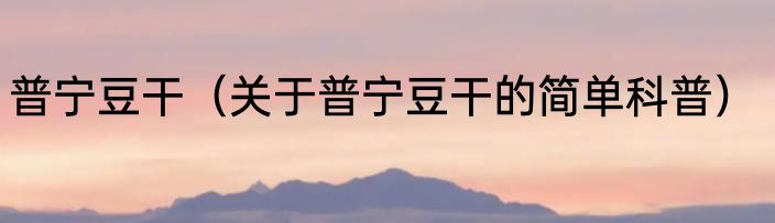 普宁豆干（关于普宁豆干的简单科普）