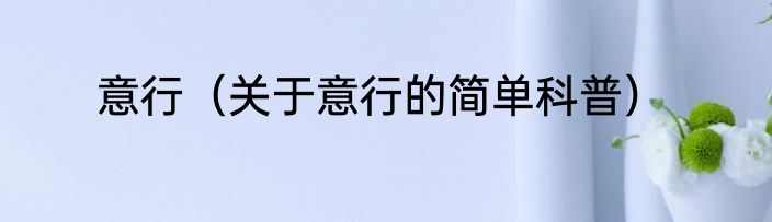 意行（关于意行的简单科普）