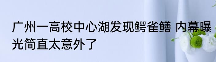广州一高校中心湖发现鳄雀鳝 内幕曝光简直太意外了