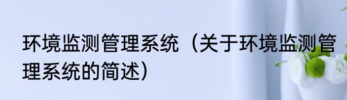 环境监测管理系统（关于环境监测管理系统的简述）